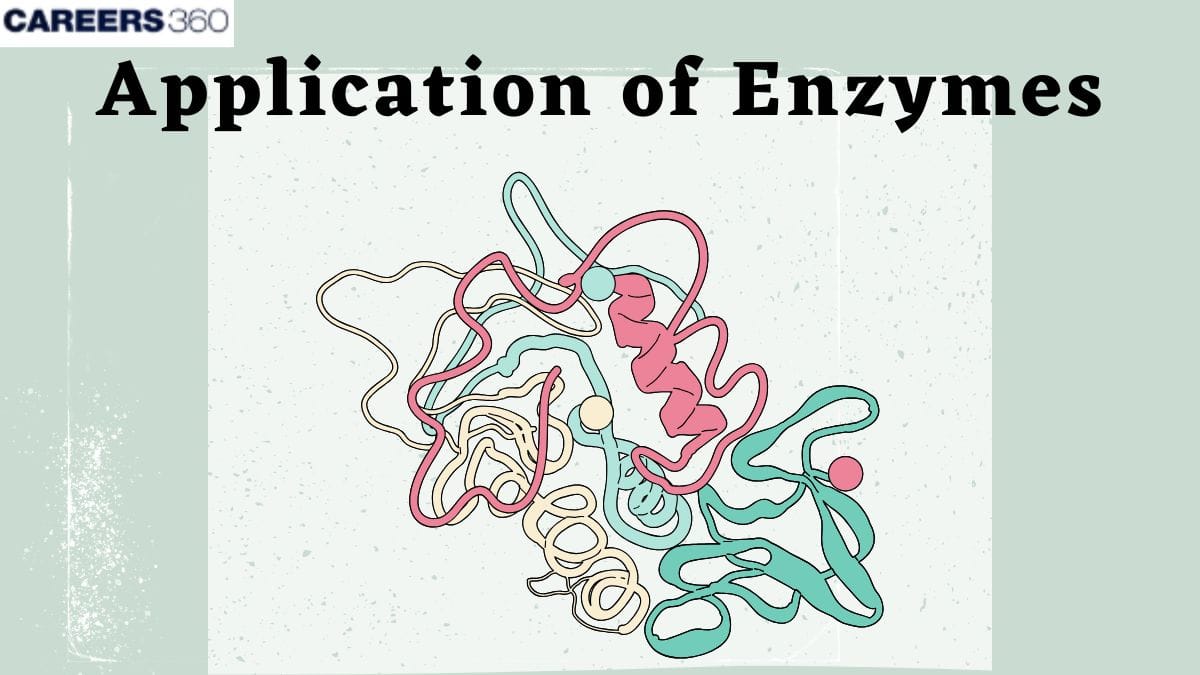 Applications Of Enzymes